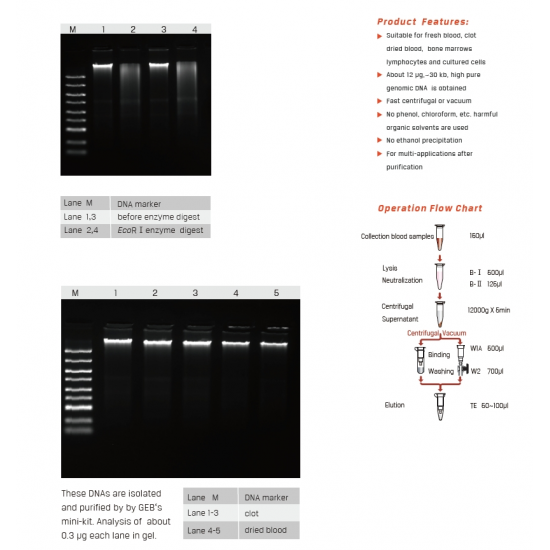 Blood Genomic DNA Miniprep Kit 100 Preps/Kit Blood Genomic DNA Miniprep Kit 100 Preps/Kit