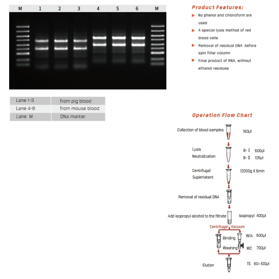 Blood Total RNA Miniprep Kit 50 Preps/Kit Blood Total RNA Miniprep Kit 50 Preps/Kit
