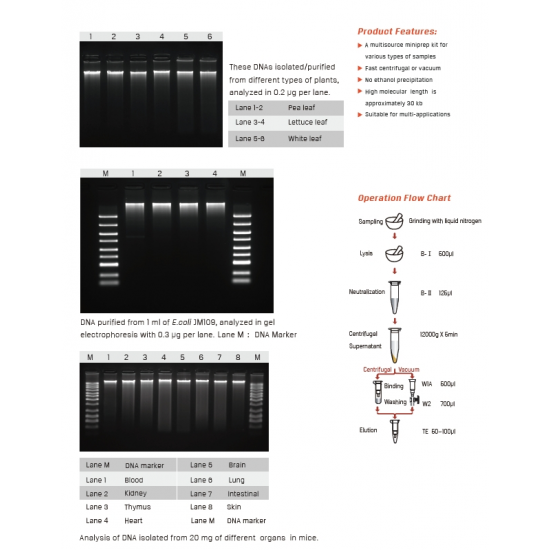 Multisource Total RNA Miniprep Kit Multisource Total RNA Miniprep Kit