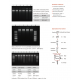Multisource Total RNA Miniprep Kit Multisource Total RNA Miniprep Kit