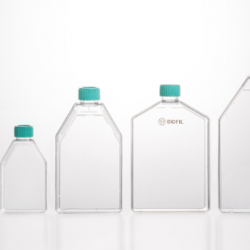 Tissue culture flask, TC-Treated, plug seal cap, Sterile