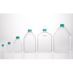 Tissue culture flask, TC-Treated, plug seal cap, Sterile