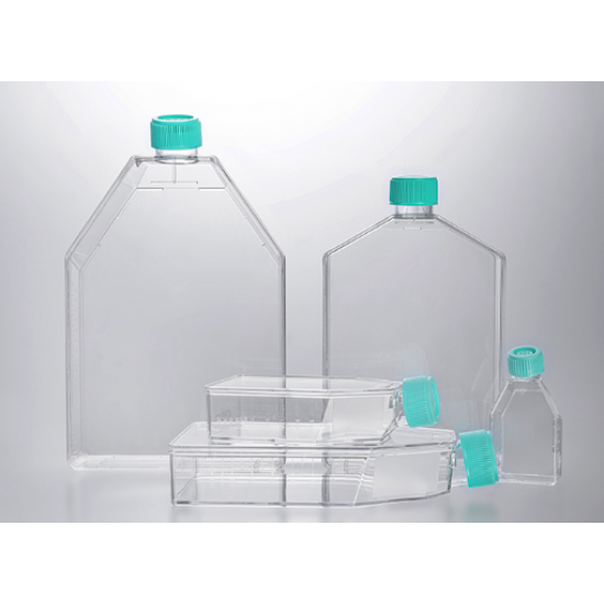Tissue culture flask, TC-Treated, plug seal cap, Sterile