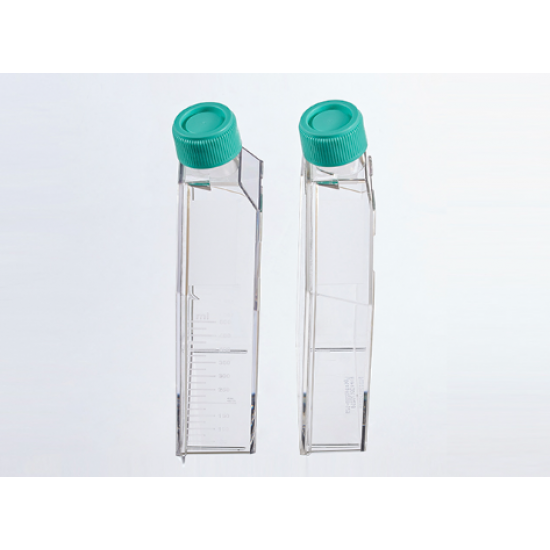 Tissue culture flask, TC-Treated, plug seal cap, Sterile