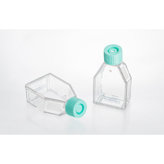 Tissue culture flask, TC-Treated, plug seal cap, Sterile