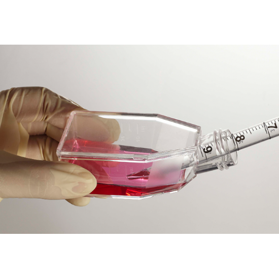 Tissue culture flask, TC-Treated, plug seal cap, Sterile