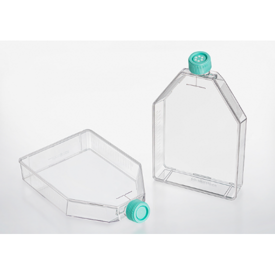 Tissue culture flask, TC-Treated, plug seal cap, Sterile