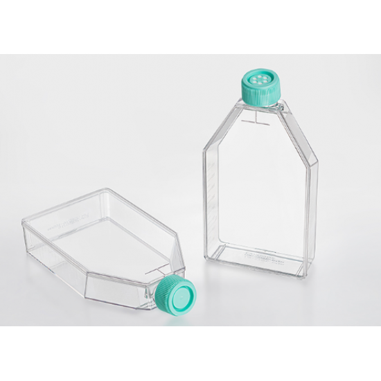 Tissue culture flask, TC-Treated, plug seal cap, Sterile