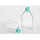 Tissue culture flask, TC-Treated, plug seal cap, Sterile