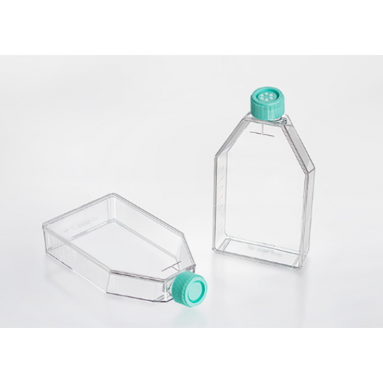 Tissue culture flask, TC-Treated, plug seal cap, Sterile
