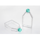 Tissue culture flask, TC-Treated, plug seal cap, Sterile