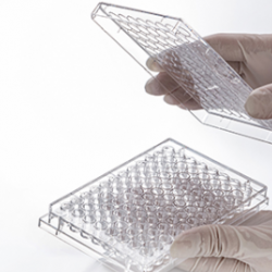 Cell and Tissue Culture Plates