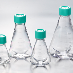 Erlenmeyer Flasks 250ml