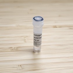 dCTP Solution (100 mM)
